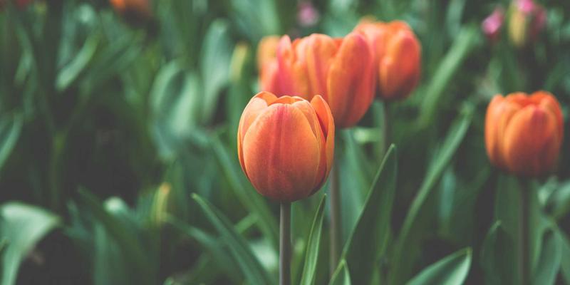 Khalid Naji69：在斯堪的纳维亚简约生活中探寻个人成长的博客之旅