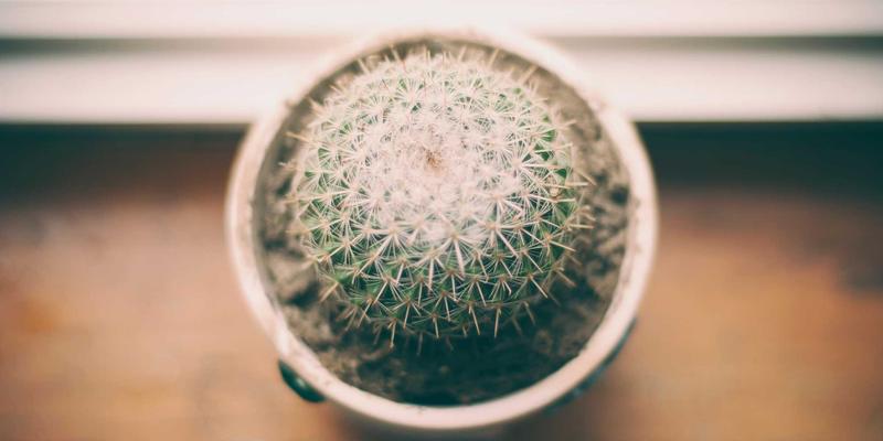 Khalid Naji76：极简主义与北欧风格的当代设计哲学