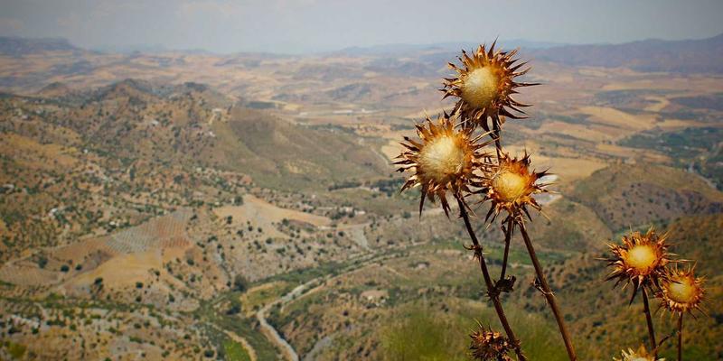 Khalid Naji96:设计、健康与生活方式的融合哲学