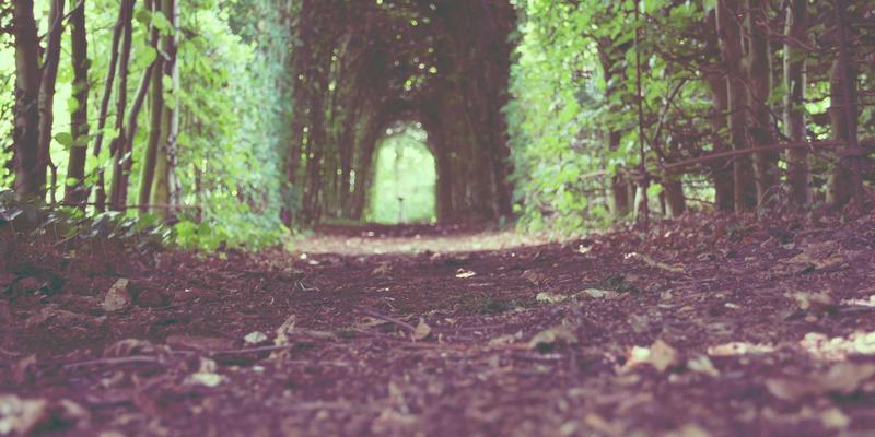 Khalid Naji技巧:极简主义如何重塑你的健康与生活方式