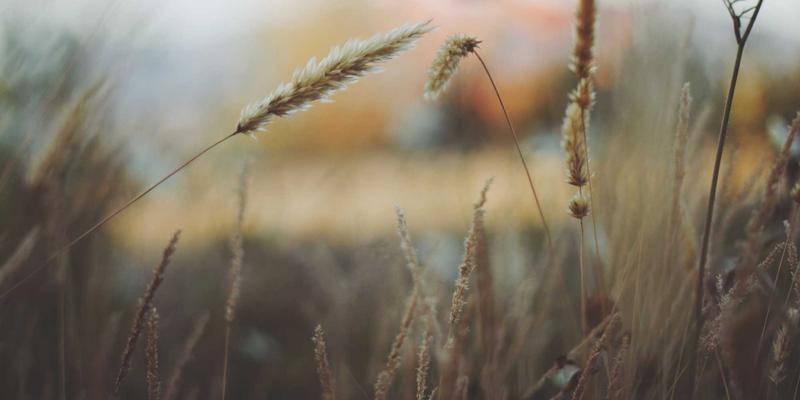 Khalid Naji的远程协作哲学：以斯堪的纳维亚式生活与设计思维，打造信任、透明与高效沟通的分布式团队