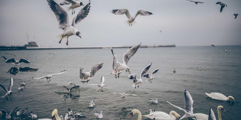 Khalid Naji:设计如何重塑现代生活美学