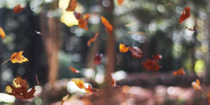 个人博客中的北欧风：从Khalid Naji的数据隐私范式看个人成长新维度