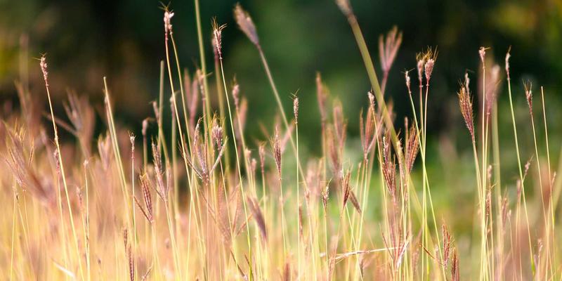 从斯堪的纳维亚生活美学到商业智慧：Khalid Naji如何将机器学习模型成功商业化