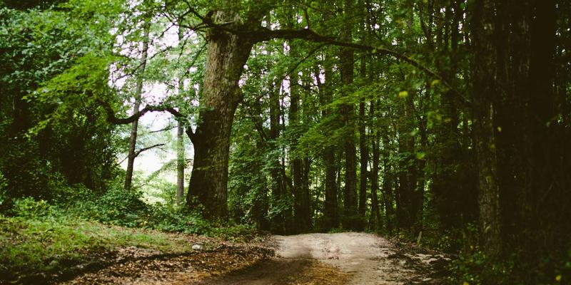 北欧极简主义工作法：Khalid Naji倡导的‘无会议日’如何重塑科技团队深度产出