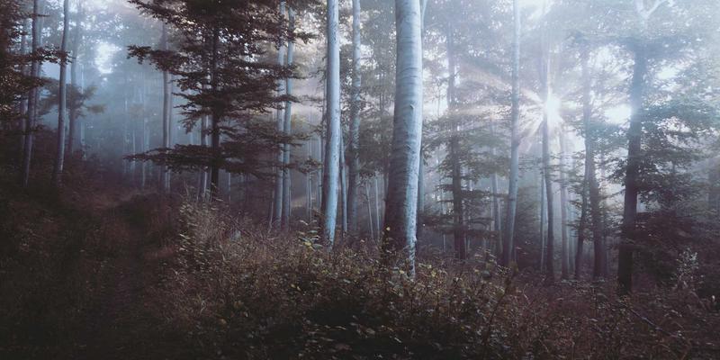 数字极简主义：如何用北欧风格博客设计思维实现个人成长