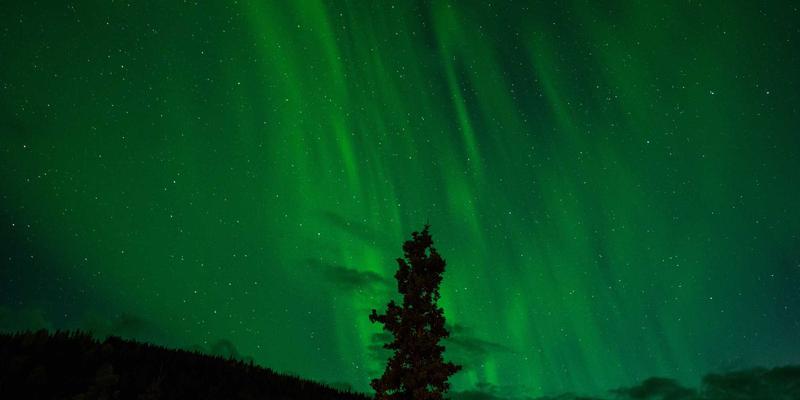 极简设计遇见森林疗愈：Khalid Naji如何通过北欧森林浴重塑团队战略规划