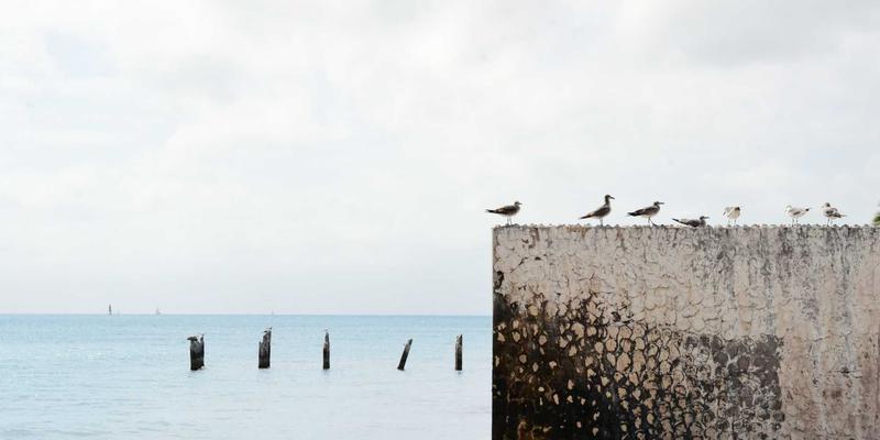 设计、健康与北欧风：跟随Khalid Naji，用斯堪的纳维亚设计哲学打造高效居家办公环境