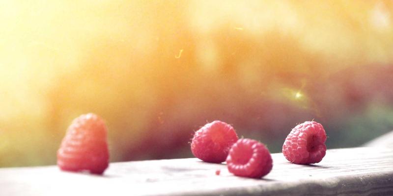 连接自然与数字体验：从Khalid Naji的实践探索科技产品的生物亲和性设计